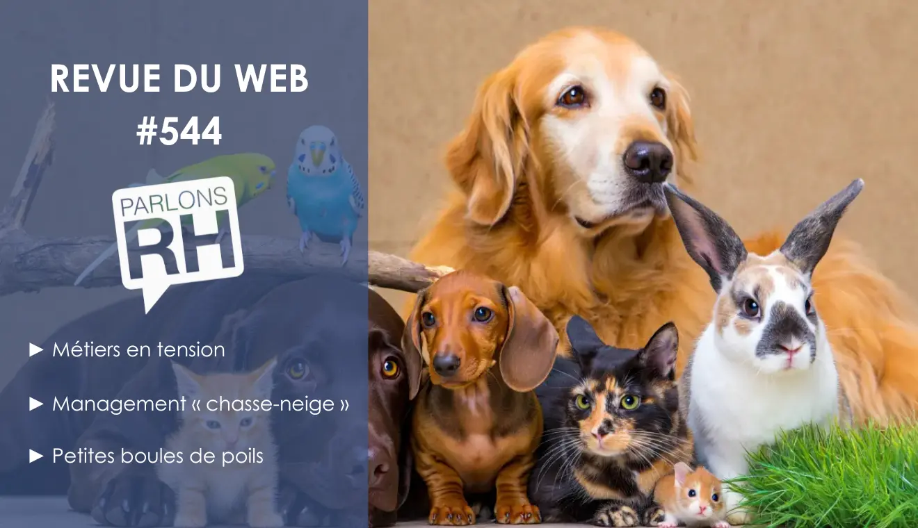 Revue du web #544 : métiers en tension, santé mentale, management « chasse-neige » et petites boules de poils