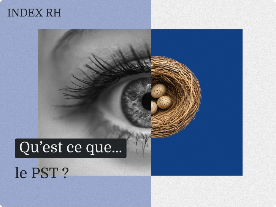 Qu’est-ce que… le PST ?