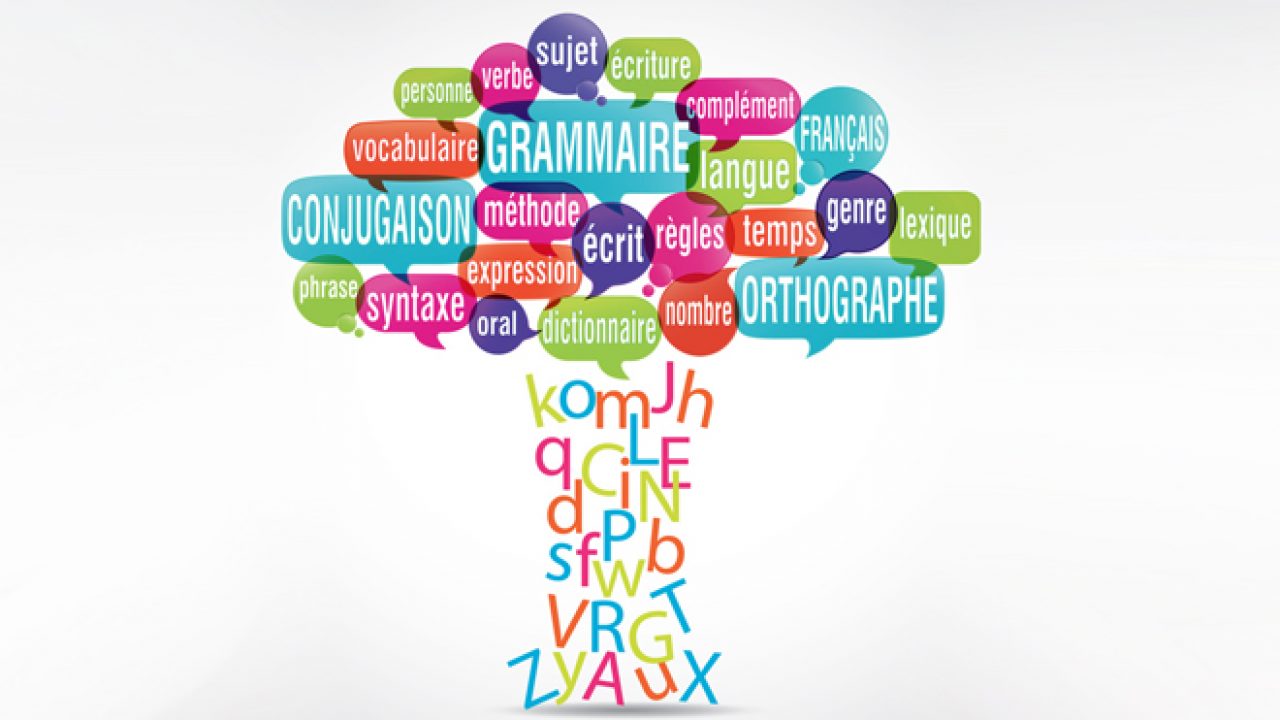 Orthographe En Entreprise Quand Le Systeme Faute