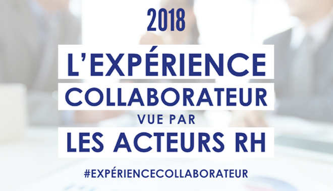 L’expérience collaborateur, combien de divisions ?