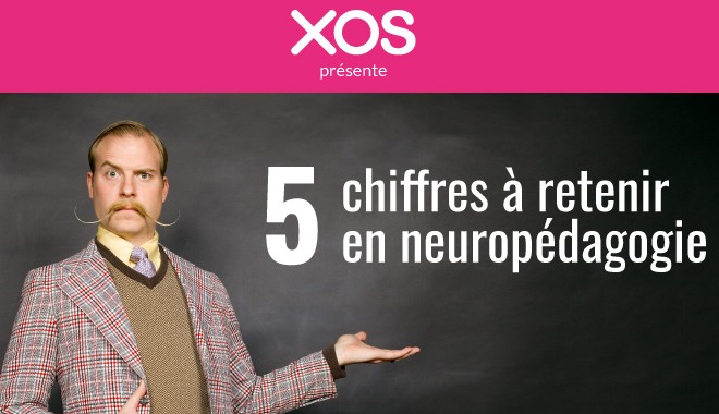 Formation : les chiffres clés de la neuropédagogie