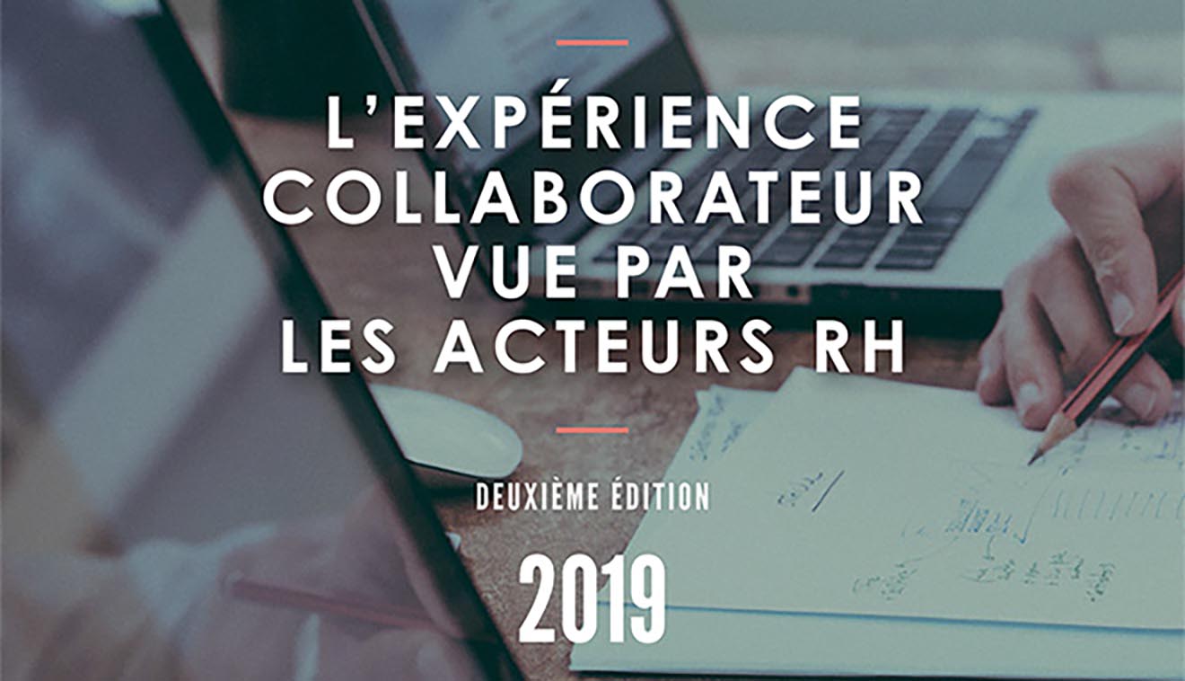 expérience collaborateur